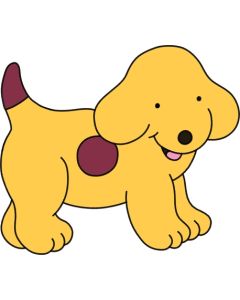 All about Spot