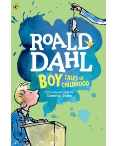 Boy: Tales of Childhood