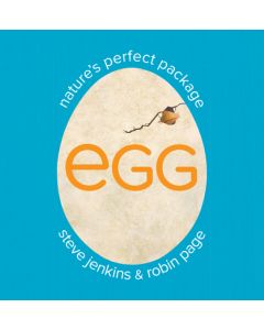 Egg: Nature's Perfect Package
