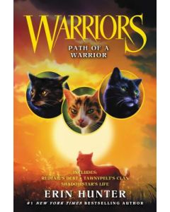 Path of a Warrior