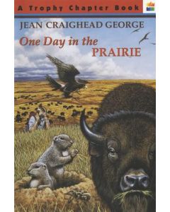 One Day in the Prairie