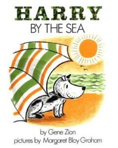 Harry by the Sea