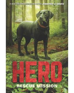 Hero: Rescue Mission
