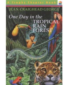 One Day in the Tropical Rain Forest
