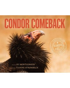 Condor Comeback