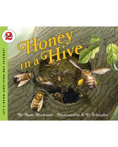 Honey in a Hive
