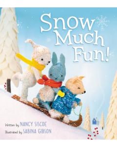 Snow Much Fun!: A Winter and Holiday Book for Kids