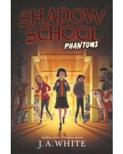 Phantoms