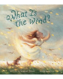 What Is the Wind?