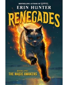 Renegades #1: The Magic Awakens