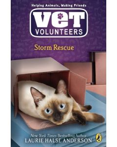 Storm Rescue