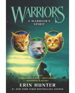 A Warrior's Spirit