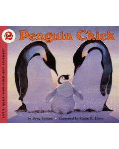 Penguin Chick