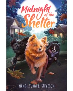 Midnight at the Shelter