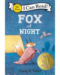 Fox at Night
