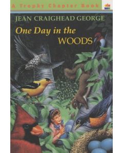 One Day in the Woods