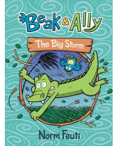 Beak & Ally #3: The Big Storm: A Graphic Novel