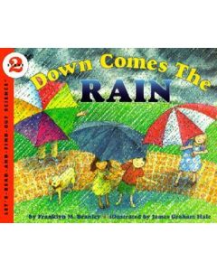 Down Comes the Rain