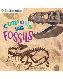 Curious About Fossils