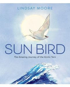 Sun Bird: The Amazing Journey of the Arctic Tern