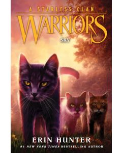 Warriors: A Starless Clan #2: Sky