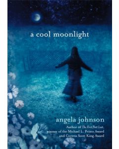 A Cool Moonlight