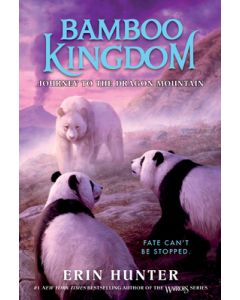 Bamboo Kingdom #3: Journey to the Dragon Mountain
