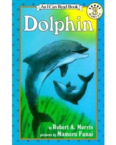 Dolphin