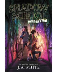 Shadow School #2: Dehaunting