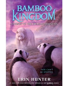 Bamboo Kingdom #3: Journey to the Dragon Mountain
