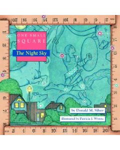One Small Square, the Night Sky