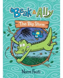 Beak & Ally #3: The Big Storm: A Graphic Novel