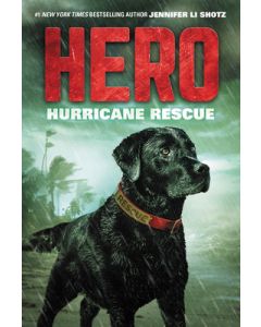 Hero: Hurricane Rescue