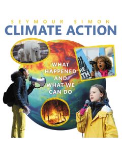 Climate Action: What Happened and What We Can Do