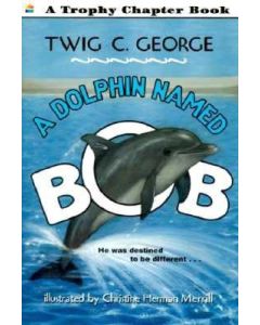 A Dolphin Named Bob