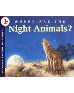 Where Are the Night Animals?