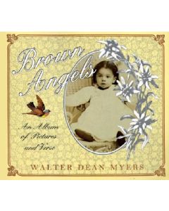 Brown Angels: An Album of Pictures and Verse