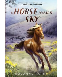 A Horse Named Sky