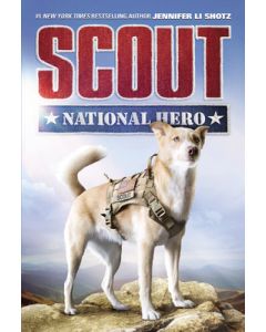 Scout: National Hero