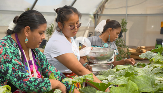 Thumbnail from "Seeding Change" video. Click to watch the Time for Change Changemakers in Action video series on YouTube.
